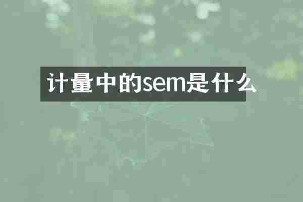 计量中的sem是什么