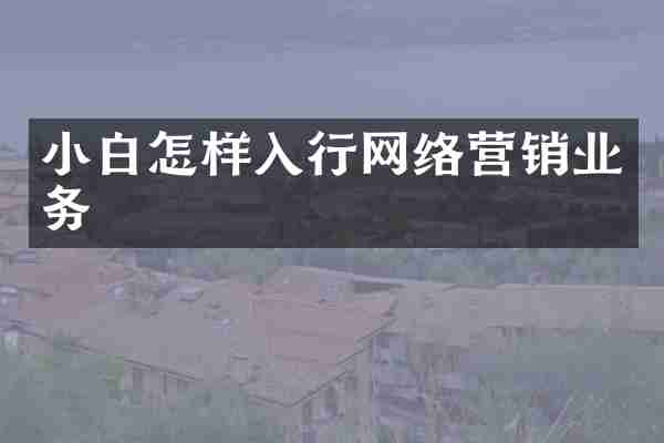 小白怎样入行网络营销业务