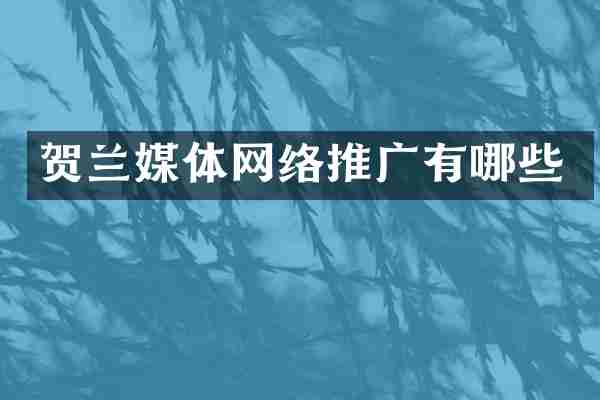 贺兰媒体网络推广有哪些