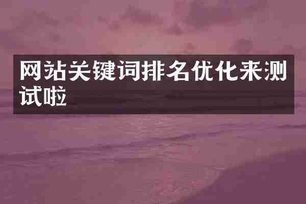 网站关键词排名优化来测试啦