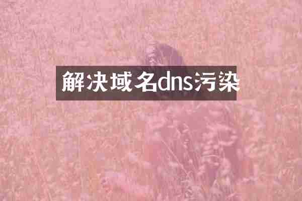 解决域名dns污染