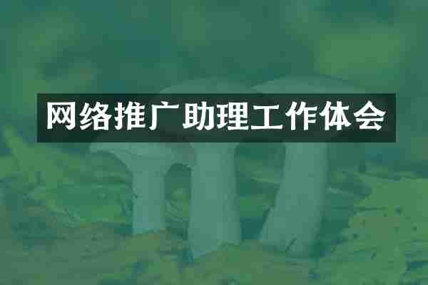 网络推广助理工作体会