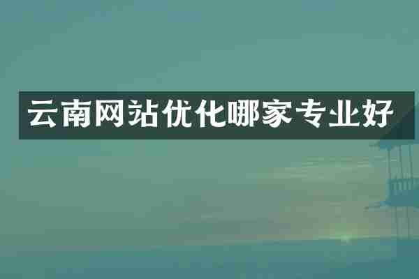 云南网站优化哪家专业好