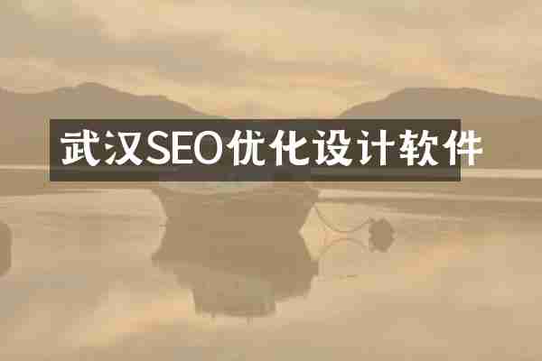 武汉SEO优化设计软件