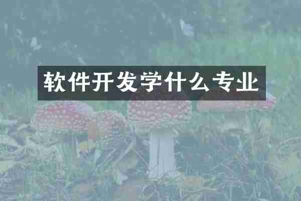 软件开发学什么专业