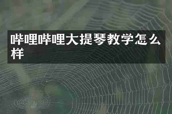 哔哩哔哩大提琴教学怎么样