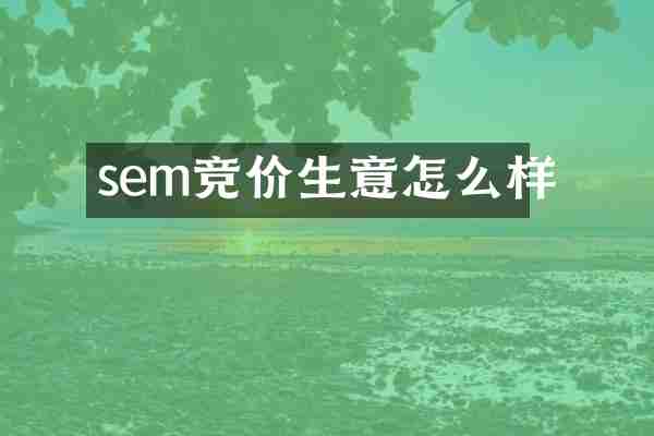 sem竞价生意怎么样