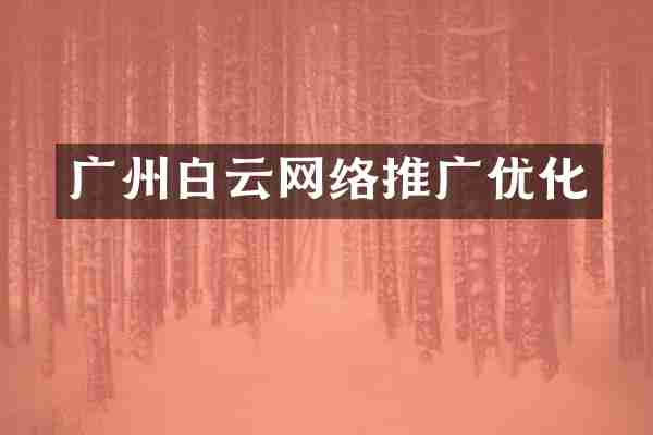 广州白云网络推广优化