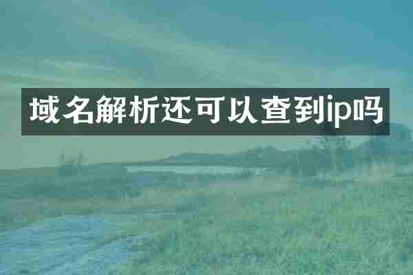 域名解析还可以查到ip吗