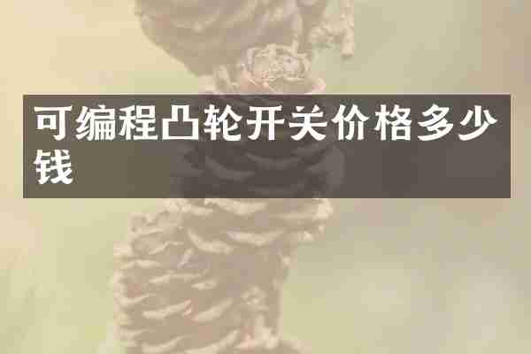 可编程凸轮开关价格多少钱