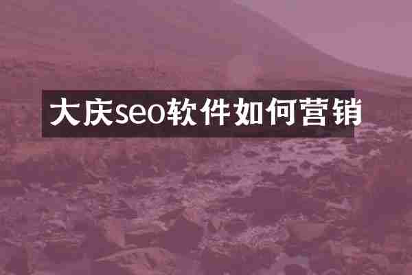 大庆seo软件如何营销