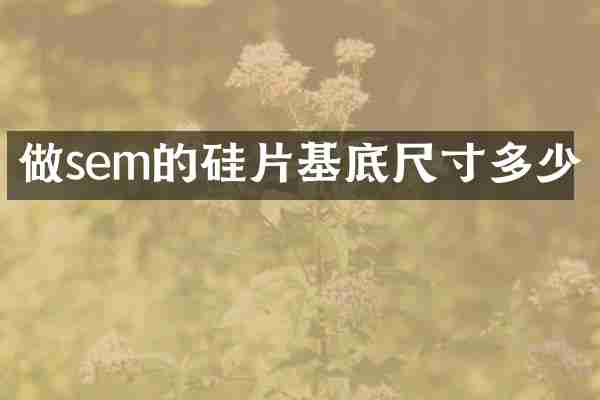 做sem的硅片基底尺寸多少