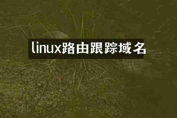 linux路由跟踪域名