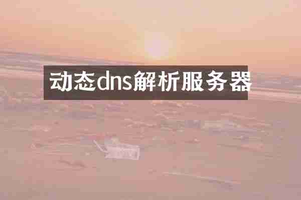 动态dns解析服务器