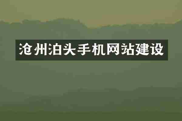沧州泊头手机网站建设