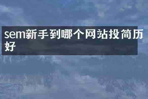sem新手到哪个网站投简历好