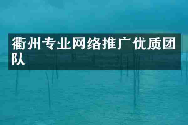 衢州专业网络推广优质团队