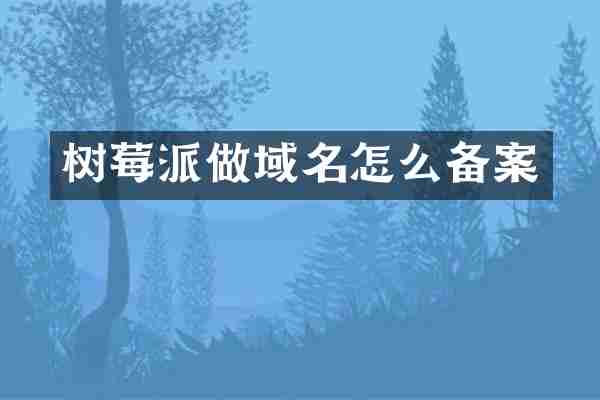 树莓派做域名怎么备案