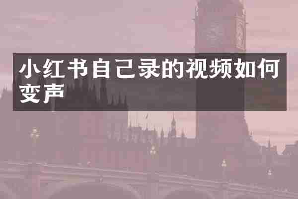 小红书自己录的视频如何变声
