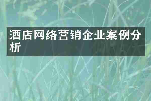 酒店网络营销企业案例分析