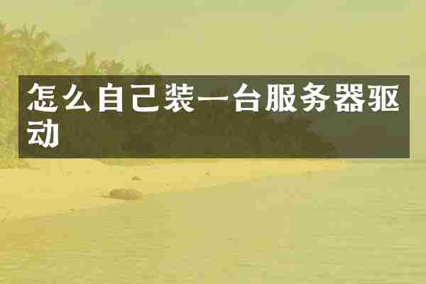 怎么自己装一台服务器驱动