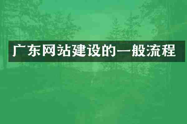 广东网站建设的一般流程