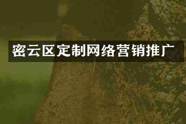 密云区定制网络营销推广