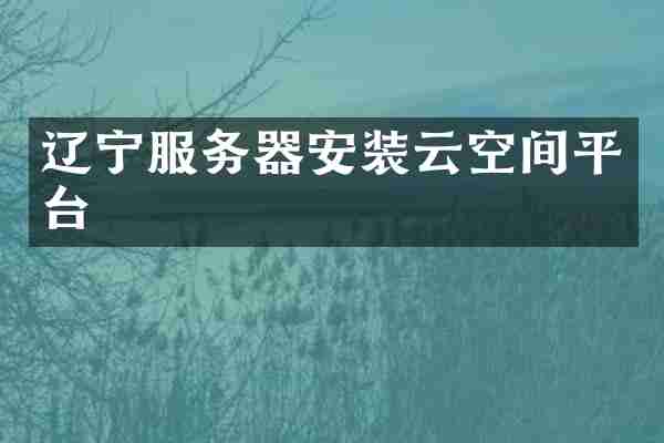 辽宁服务器安装云空间平台