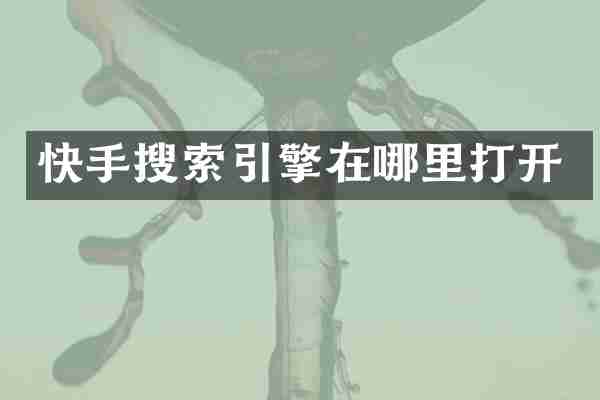快手搜索引擎在哪里打开