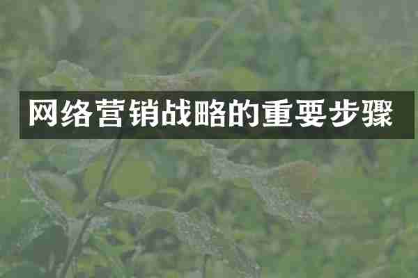 网络营销战略的重要步骤