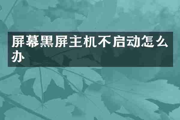 屏幕黑屏主机不启动怎么办