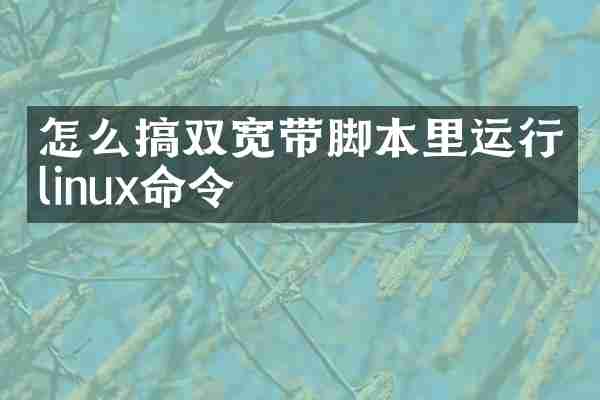 怎么搞双宽带脚本里运行linux命令