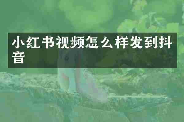 小红书视频怎么样发到抖音