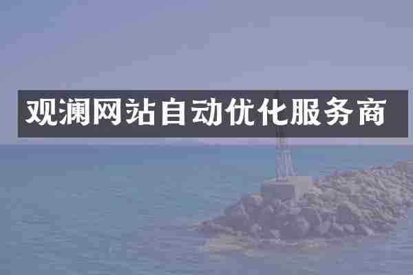 观澜网站自动优化服务商
