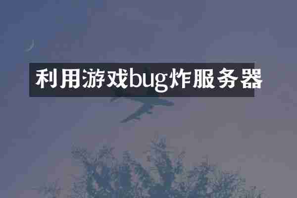 利用游戏bug炸服务器