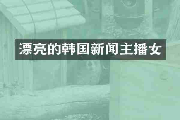 漂亮的韩国新闻主播女