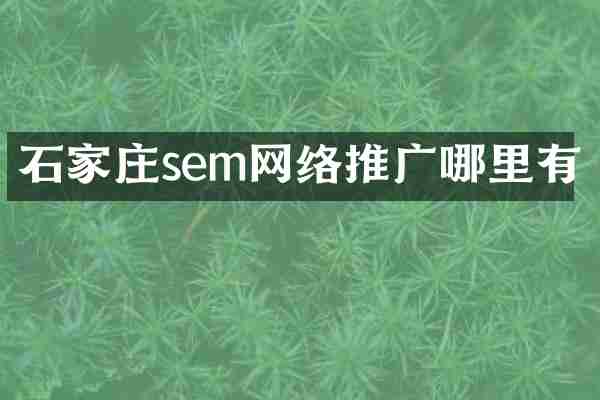 石家庄sem网络推广哪里有