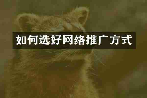 如何选好网络推广方式
