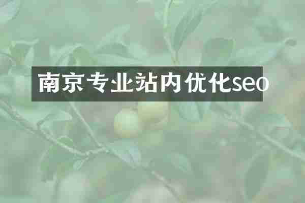 南京专业站内优化seo