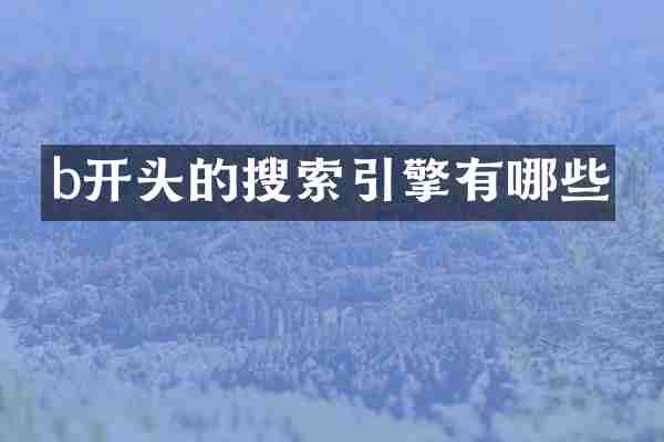 b开头的搜索引擎有哪些