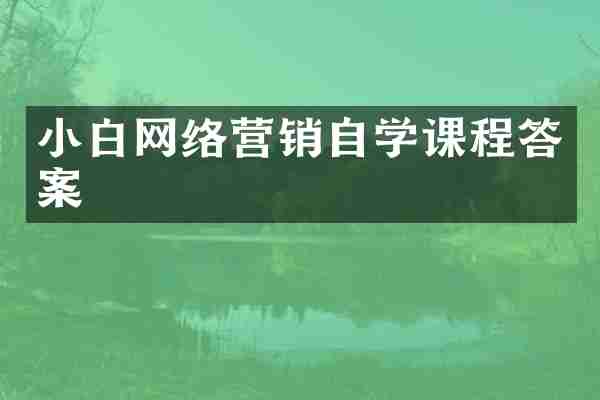 小白网络营销自学课程答案