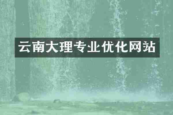 云南大理专业优化网站