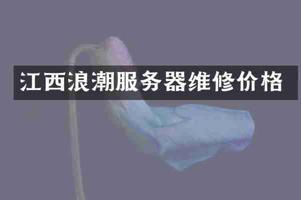 江西浪潮服务器维修价格