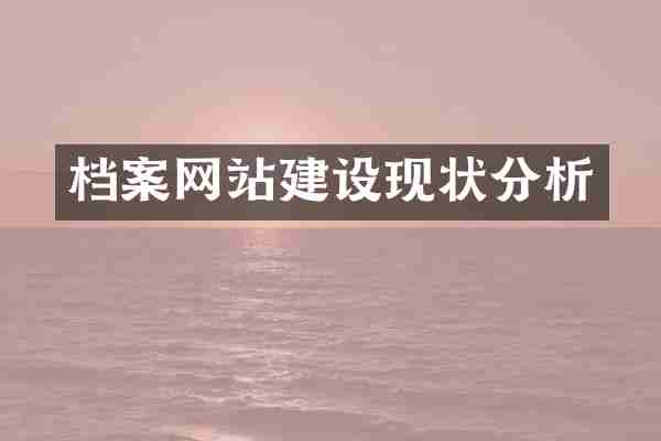 档案网站建设现状分析