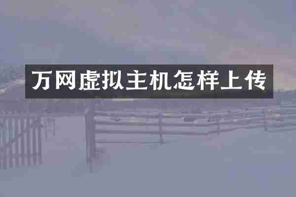 万网虚拟主机怎样上传