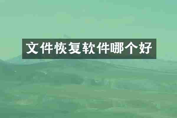 文件恢复软件哪个好