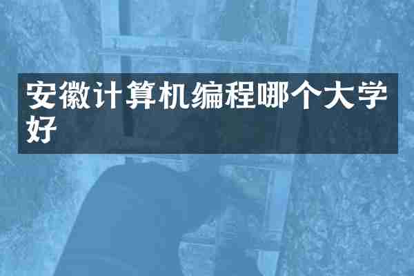 安徽计算机编程哪个大学好