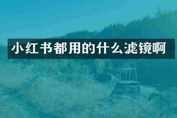 小红书都用的什么滤镜啊
