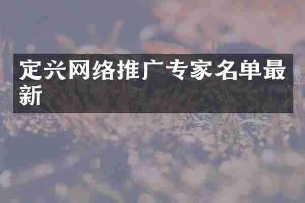 定兴网络推广专家名单最新