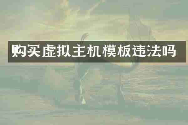 购买虚拟主机模板违法吗